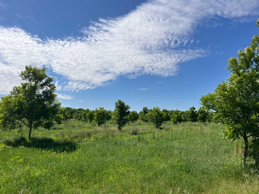 0 Bedroom Property for Sale in Middelpos Northern Cape